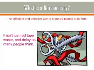 What is a Bureaucracy?