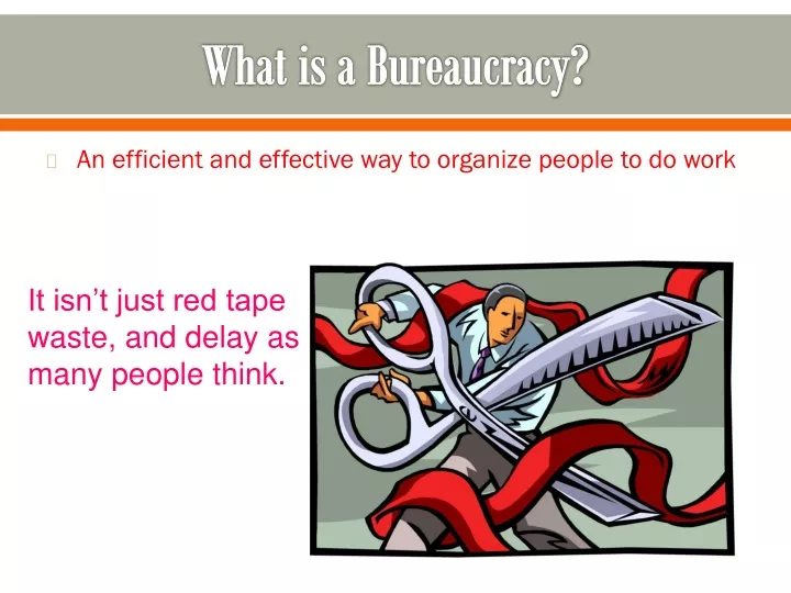 what is a bureaucracy