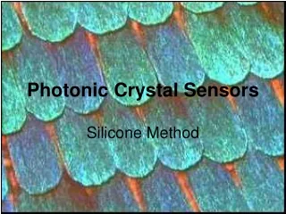 Photonic Crystal Sensors