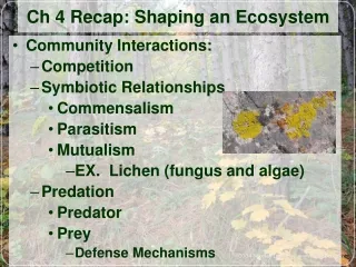 Ch 4 Recap: Shaping an Ecosystem