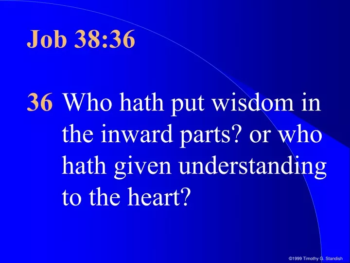 job 38 36 36 who hath put wisdom in the inward