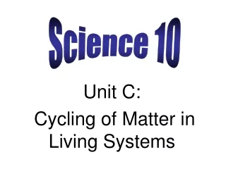 Unit C:  Cycling of Matter in Living Systems