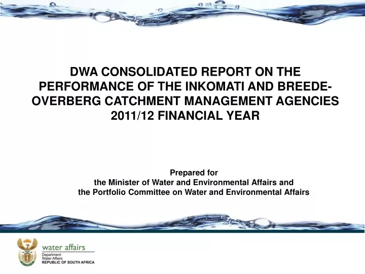 dwa consolidated report on the performance