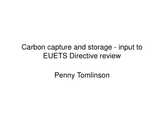 Carbon capture and storage - input to EUETS Directive review