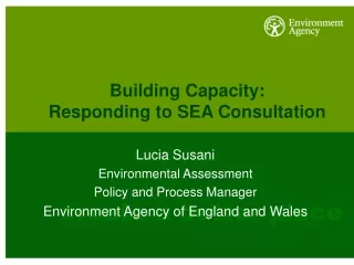 Building Capacity:  Responding to SEA Consultation