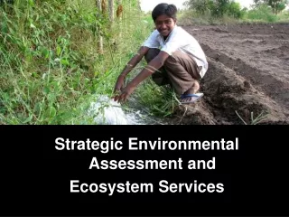 Strategic Environmental Assessment and  Ecosystem Services