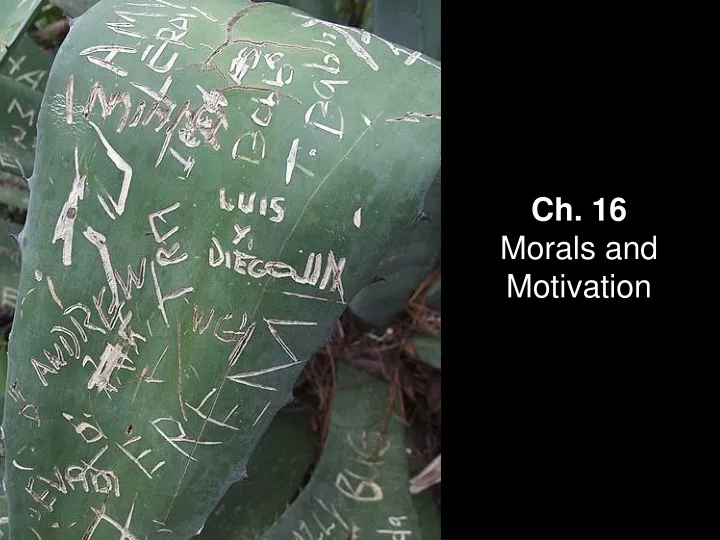 ch 16 morals and motivation