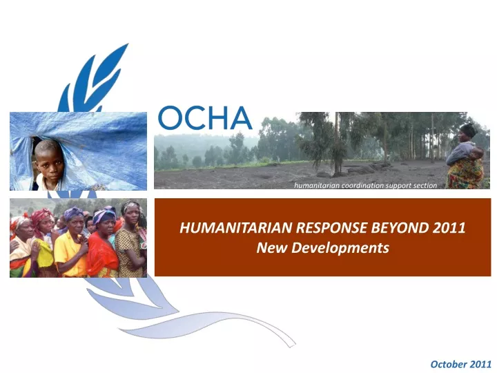 humanitarian coordination support section