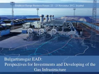 Bulgartransgaz  EAD:  Perspectives for Investments and Developing of the Gas Infrastructure