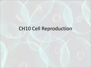 CH10 Cell Reproduction