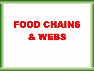 FOOD CHAINS &amp; WEBS