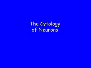 The Cytology of Neurons