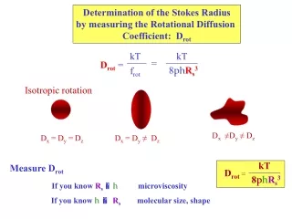 Determination of the Stokes Radius by measuring the Rotational Diffusion  Coefficient:  D rot