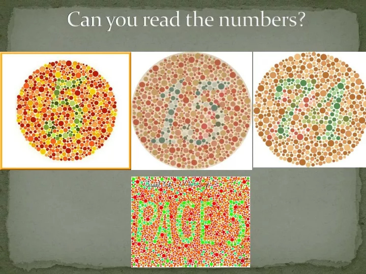 can you read the numbers