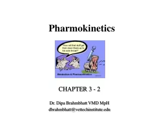 Pharmokinetics