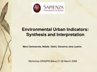 Environmental Urban Indicators: Synthesis and Interpretation