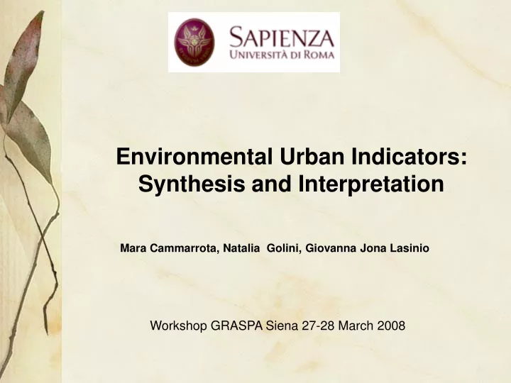 environmental urban indicators synthesis and interpretation