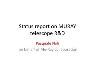 Status report on MURAY telescope R&amp;D