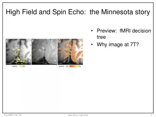 High Field and Spin Echo:  the Minnesota story