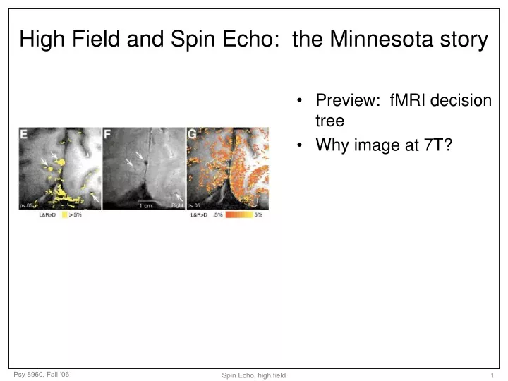 high field and spin echo the minnesota story