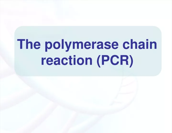 the polymerase chain reaction pcr