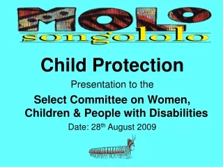 Child Protection Presentation to the