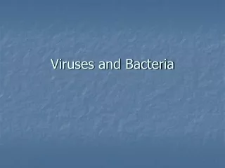 Viruses and Bacteria