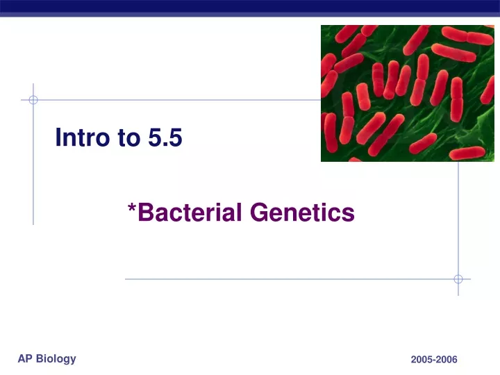 intro to 5 5