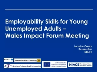 Employability Skills for Young Unemployed Adults – Wales Impact Forum Meeting