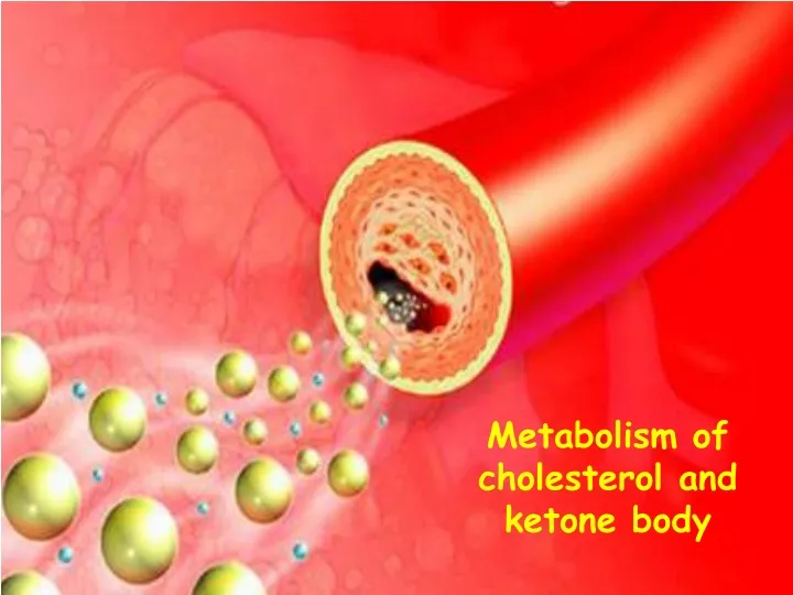 metabolism of cholesterol and ketone body