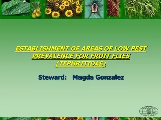 ESTABLISHMENT OF AREAS OF LOW PEST PREVALENCE FOR FRUIT FLIES (TEPHRITIDAE)