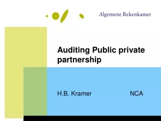Auditing Public private partnership