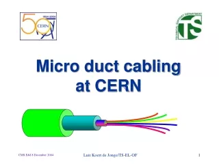 Micro duct cabling at CERN