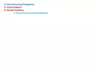 IV. Reconstructing Phylogenies  A. Fossil Evidence B. Genetic Evidence