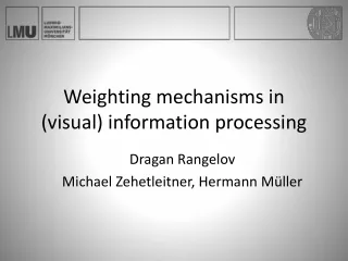 Weighting mechanisms in (visual) information processing
