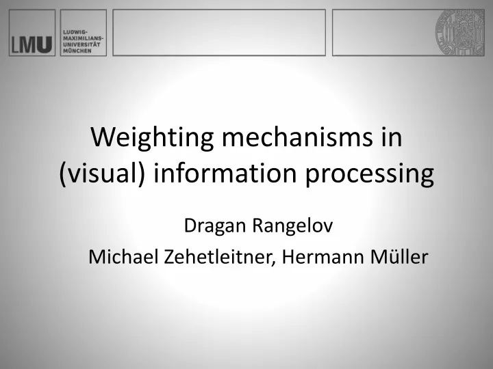 weighting mechanisms in visual information processing
