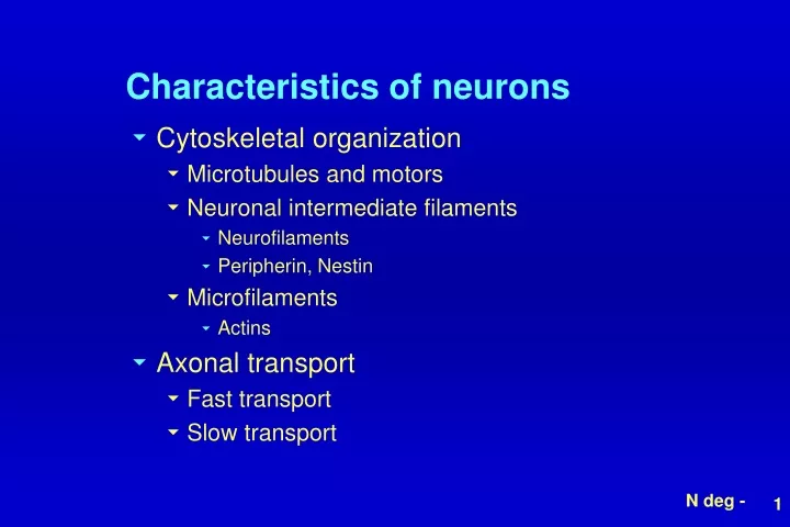 characteristics of neurons