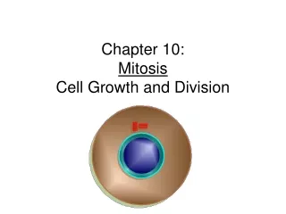 Chapter 10: Mitosis Cell Growth and Division