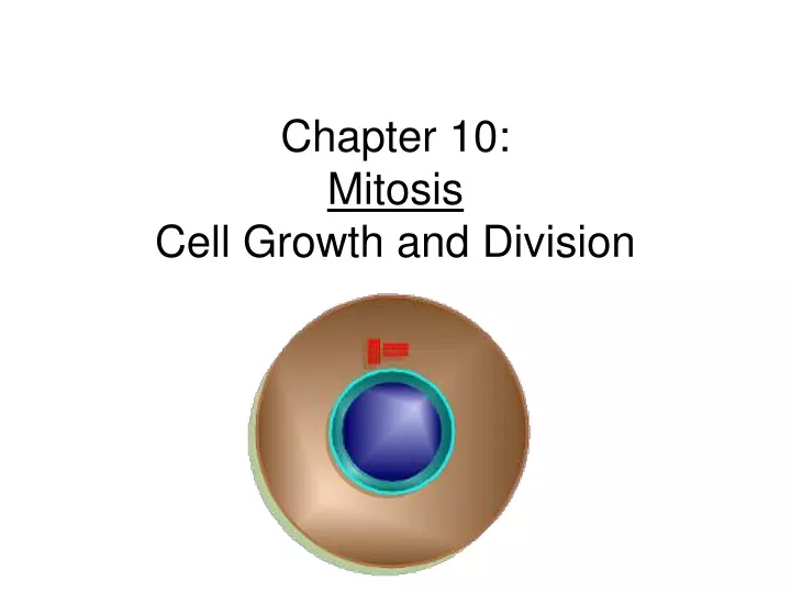 chapter 10 mitosis cell growth and division