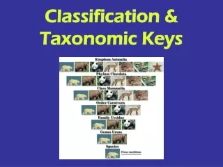 Classification &amp; Taxonomic Keys