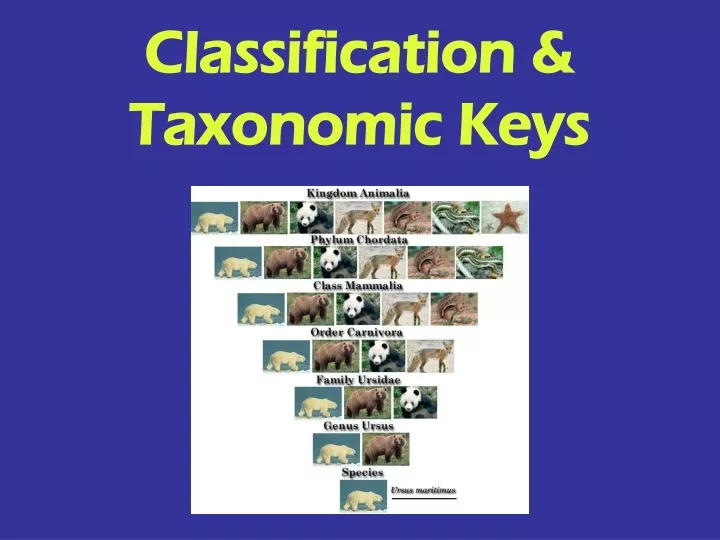 classification taxonomic keys