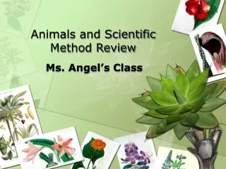 Animals and Scientific Method Review