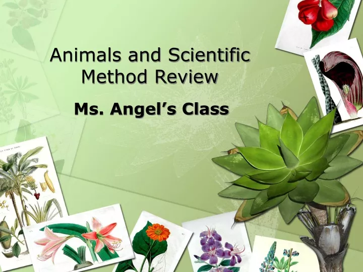 animals and scientific method review
