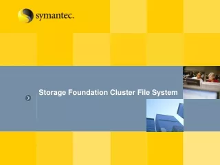Storage Foundation Cluster File System