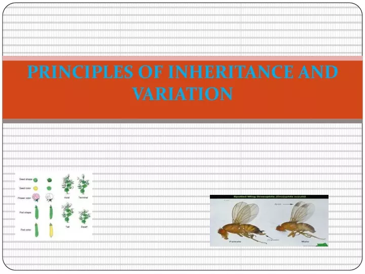 principles of inheritance and variation