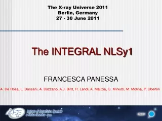 The INTEGRAL NLSy1