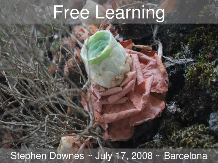 free learning