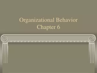 Organizational Behavior  Chapter 6