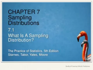 CHAPTER 7 Sampling Distributions