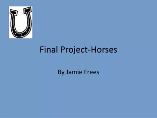 Final Project-Horses
